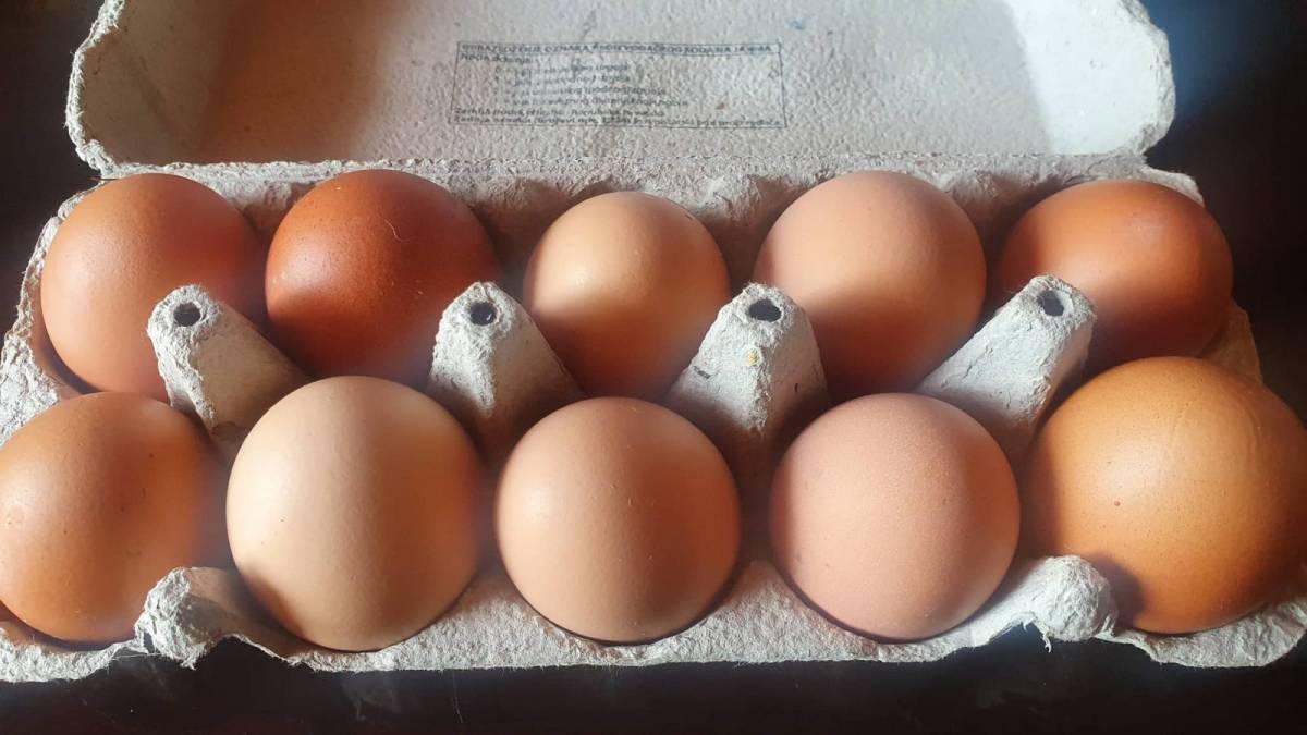 Domaca jaja