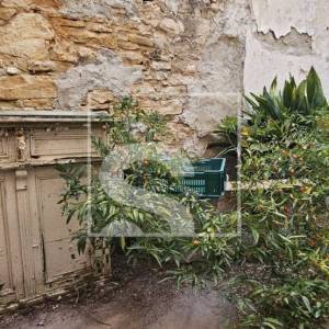 Dvije kuće u Vodnjanu - 3 spavaće sobe- dvorište