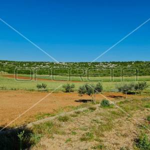 Ekološko imanje, Jasenice, potencijal za gradnju i investiciju
