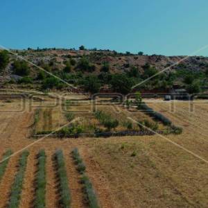 Ekološko imanje, Jasenice, potencijal za gradnju i investiciju
