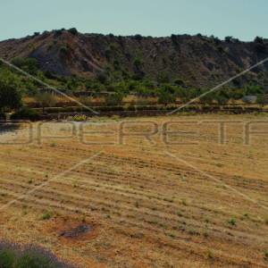 Ekološko imanje, Jasenice, potencijal za gradnju i investiciju
