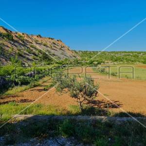 Ekološko imanje, Jasenice, potencijal za gradnju i investiciju
