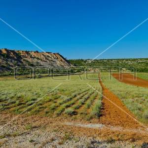 Ekološko imanje, Jasenice, potencijal za gradnju i investiciju
