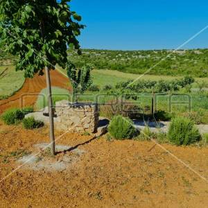 Ekološko imanje, Jasenice, potencijal za gradnju i investiciju
