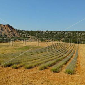 Ekološko imanje, Jasenice, potencijal za gradnju i investiciju
