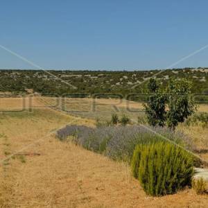 Ekološko imanje, Jasenice, potencijal za gradnju i investiciju
