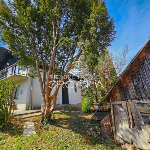 EKSKLUZIVNO, KUĆA, BEDNJA, PLEŠ