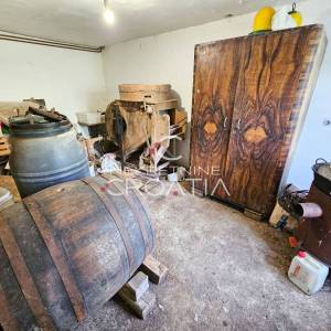 EKSKLUZIVNO, KUĆA, BEDNJA, PLEŠ