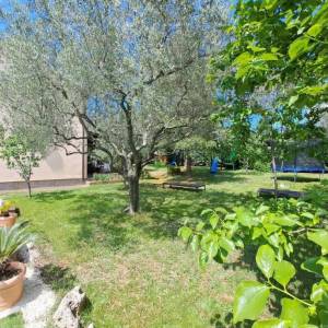 Fažana! Kuća s bazenom! Fantastićna lokacija.