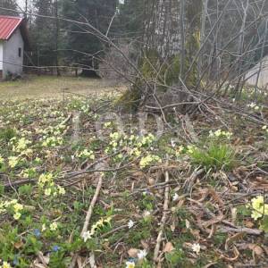 Fužine, Vrelo - zemljište sa građevinskom dozvolom