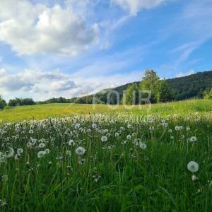 Gorski kotar, Begovo Razdolje, goranska kuća s građevinskom česticom