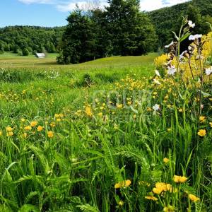 Gorski kotar, Begovo Razdolje, goranska kuća s građevinskom česticom