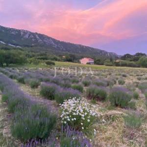 Građevinsko zemljište 1.250 m² s dozvolom i temeljima – Bribir, pogled more