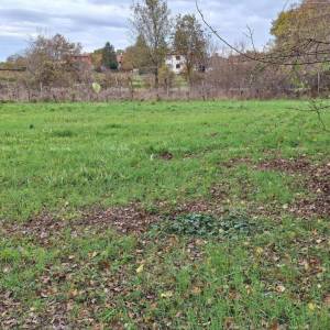 Građevinsko zemljište, 846 m2, Raša