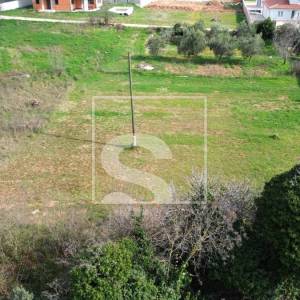 Građevinsko zemljište - Galižana 