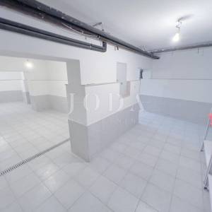 Grobnik,samostojeća kuća sa poslovnim prostorom na velikoj okućnici