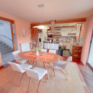 Grobnik,samostojeća kuća sa poslovnim prostorom na velikoj okućnici