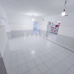 Grobnik,samostojeća kuća sa poslovnim prostorom na velikoj okućnici