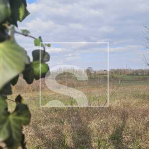 Imanje: kuća, konoba, 5.000 m² građevinskog zemljišta i nasad trešanja