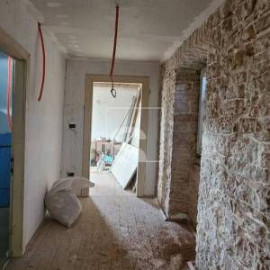 Imanje: kuća, konoba, 5.000 m² građevinskog zemljišta i nasad trešanja