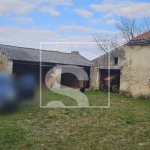 Imanje: kuća, konoba, 5.000 m² građevinskog zemljišta i nasad trešanja