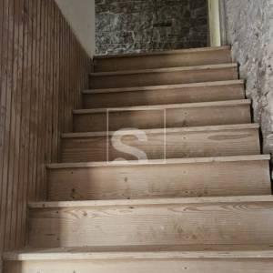 Imanje: kuća, konoba, 5.000 m² građevinskog zemljišta i nasad trešanja