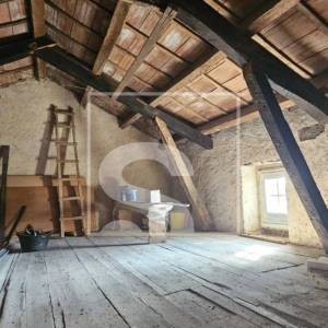 Imanje: kuća, konoba, 5.000 m² građevinskog zemljišta i nasad trešanja