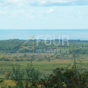 Istra, Buje, zemljište 1.341m2