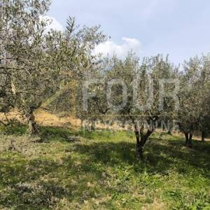 Istra, Buzet - okolica, poljoprivredno zemljište