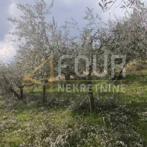 Istra, Buzet - okolica, poljoprivredno zemljište