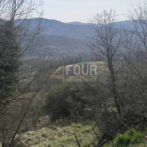 Istra, Buzet - okolica, poljoprivredno zemljište