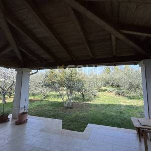 Istra, Galižana, samostojeća kuća, 421,51m2