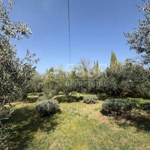 Istra, Galižana, samostojeća kuća, 421,51m2