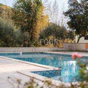 Istra, hotel 50m od mora, izvrsna investicija!