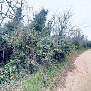 Istra, Ližnjan, poljoprivredno zemljište, 1.899m2