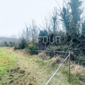 Istra, Ližnjan, poljoprivredno zemljište, 1.899m2