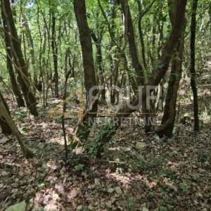 Istra, Marčana - okolica, poljoprivredno zemljište