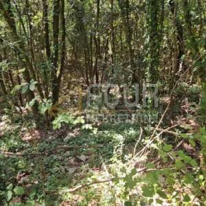 Istra, Marčana - okolica, poljoprivredno zemljište