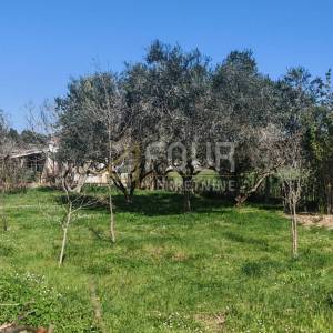 Istra, Medulin, poljoprivredno zemljište, 598m2