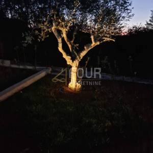 Istra, Rovinjsko Selo, novogradnja, moderna prizemnica s bazenom