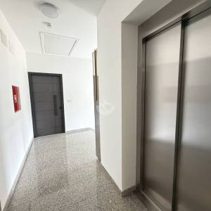 Istra, Tar, Novogradnja, 4 sobe, kompletno opremljen stan sa uporabnom dozvolom