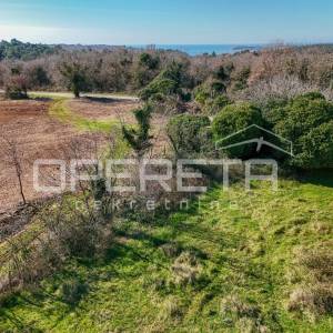 Istra, Tar – zemljište s istarskom stancijom