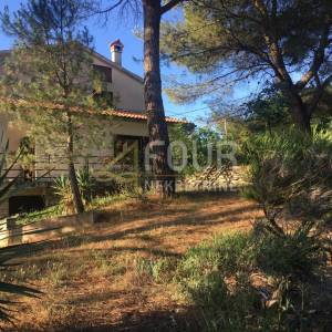 Istra, Trget, kuća s 2 stana, garaža, velika okućnica, blizina mora