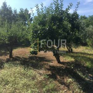 Istra, Trget, kuća s 2 stana, garaža, velika okućnica, blizina mora