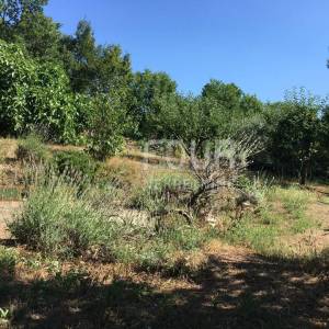 Istra, Trget, kuća s 2 stana, garaža, velika okućnica, blizina mora