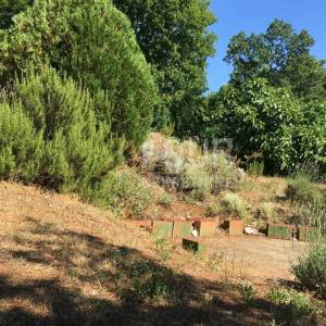 Istra, Trget, kuća s 2 stana, garaža, velika okućnica, blizina mora