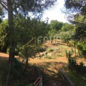 Istra, Trget, kuća s 2 stana, garaža, velika okućnica, blizina mora