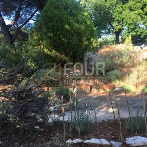 Istra, Trget, kuća s 2 stana, garaža, velika okućnica, blizina mora