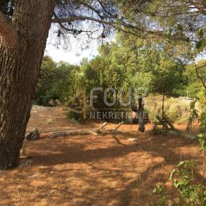 Istra, Trget, kuća s 2 stana, garaža, velika okućnica, blizina mora