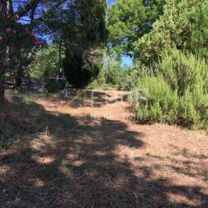 Istra, Trget, kuća s 2 stana, garaža, velika okućnica, blizina mora